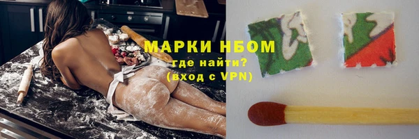 прущие грибы Богородицк