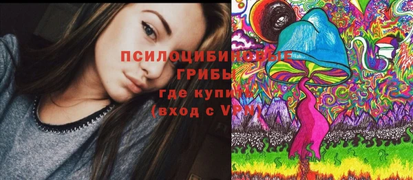 прущие грибы Богородицк