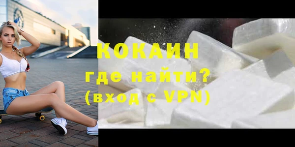 прущие грибы Богородицк