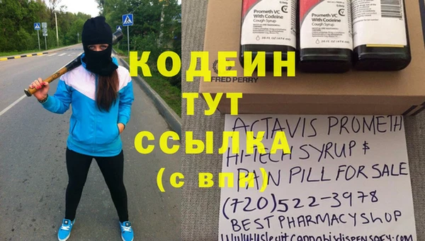 прущие грибы Богородицк