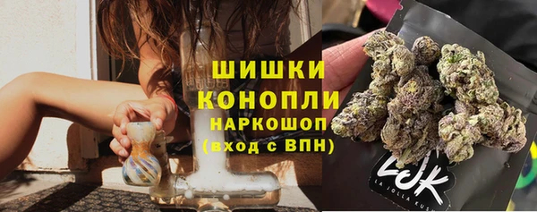 прущие грибы Богородицк