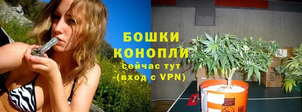 прущие грибы Богородицк