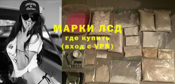 прущие грибы Богородицк