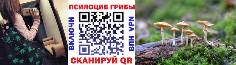 Псилоцибиновые грибы прущие грибы  Далматово 